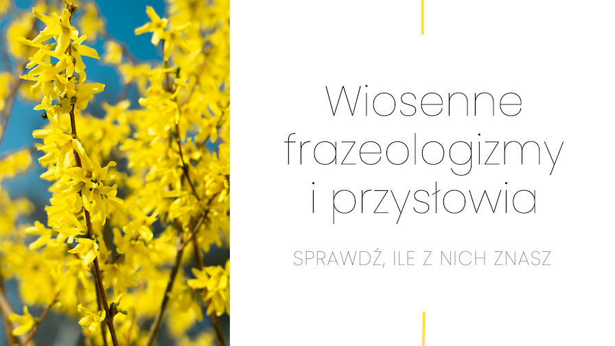 wiosenne frazeologizmy i przysłowia